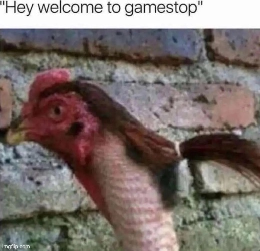 bruh | image tagged in bruh,lol,why are you reading this | made w/ Imgflip meme maker