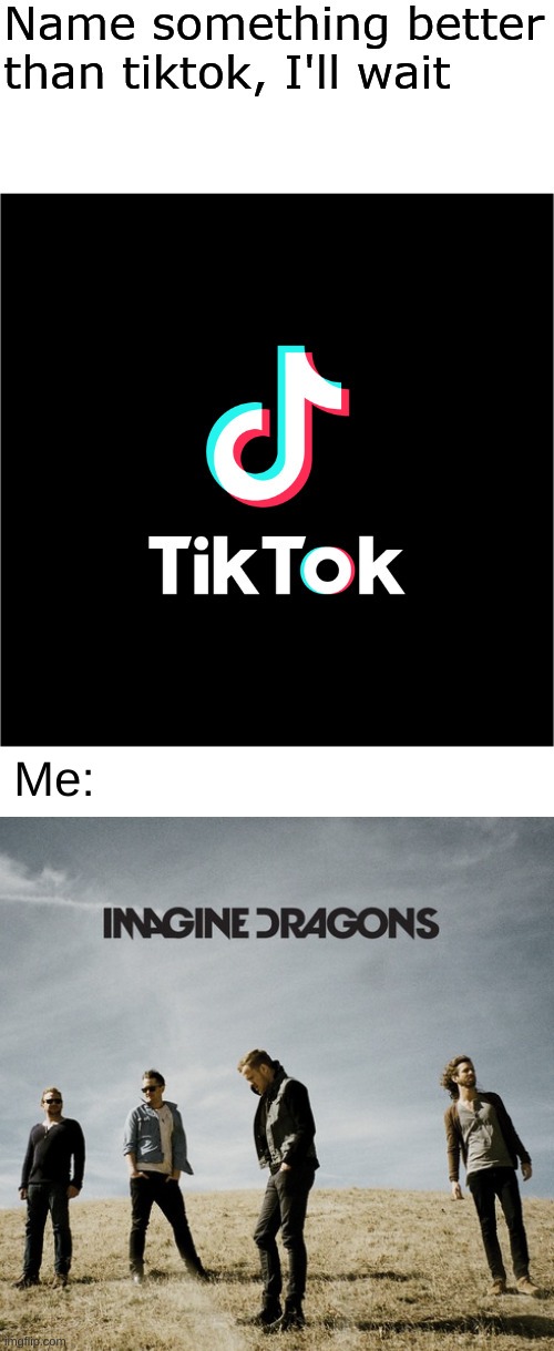 Hopefully people agree with me on this. I love them so much! | Me: | image tagged in name something better than tiktok i'll wait,imagine dragons,imagine dragons is so much better than tiktok | made w/ Imgflip meme maker
