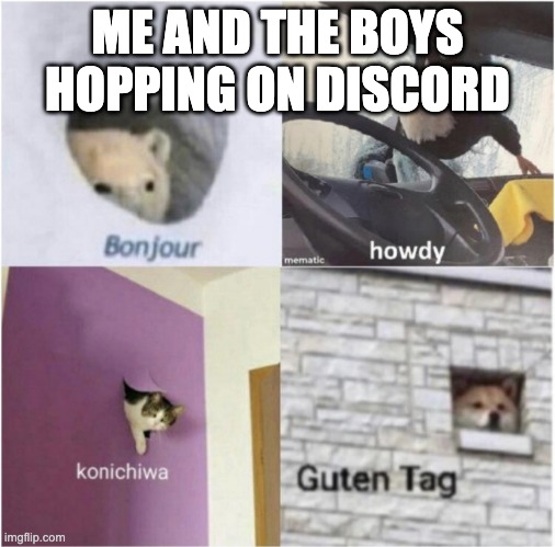 Bonjour guten tag | ME AND THE BOYS HOPPING ON DISCORD | image tagged in bonjour guten tag | made w/ Imgflip meme maker