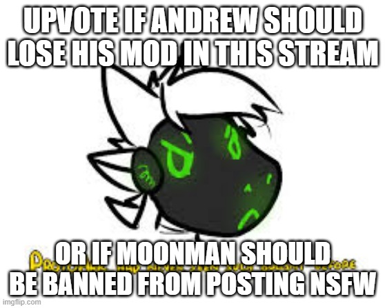 i hate both | UPVOTE IF ANDREW SHOULD LOSE HIS MOD IN THIS STREAM; OR IF MOONMAN SHOULD BE BANNED FROM POSTING NSFW | image tagged in protoarr-has-never-seen-such-bullshit-before | made w/ Imgflip meme maker