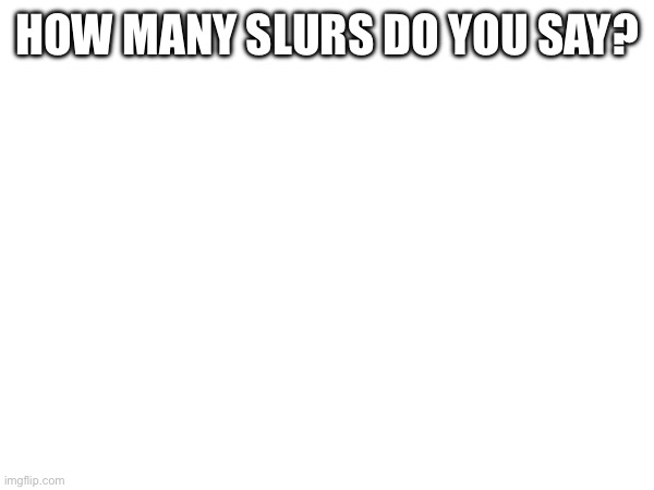 I say 0 | HOW MANY SLURS DO YOU SAY? | made w/ Imgflip meme maker