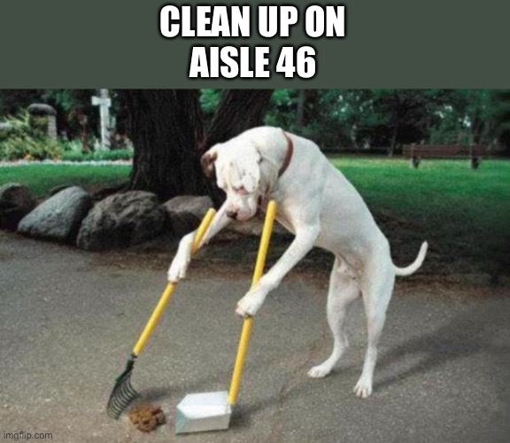 Dog poop | CLEAN UP ON
AISLE 46 | image tagged in dog poop | made w/ Imgflip meme maker