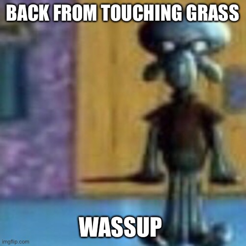 N word | BACK FROM TOUCHING GRASS; WASSUP | image tagged in n word | made w/ Imgflip meme maker