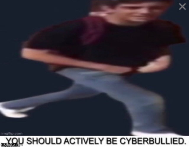 you should actively be cyberbullied | image tagged in you should actively be cyberbullied | made w/ Imgflip meme maker