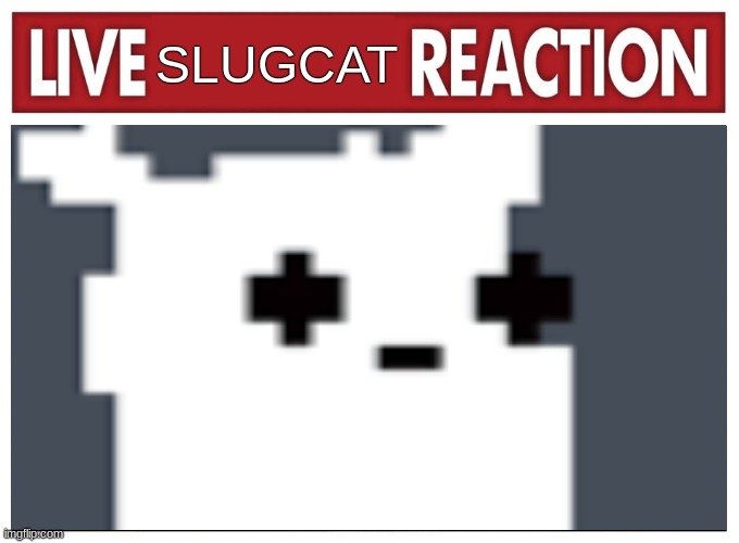 SLUGCAT | made w/ Imgflip meme maker