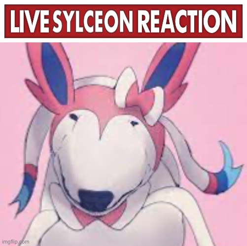 live sylceon reaction | image tagged in live x reaction | made w/ Imgflip meme maker