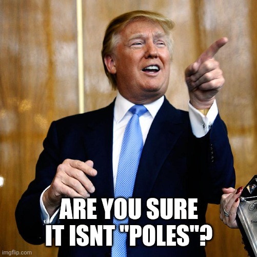 Donal Trump Birthday | ARE YOU SURE IT ISNT "POLES"? | image tagged in donal trump birthday | made w/ Imgflip meme maker
