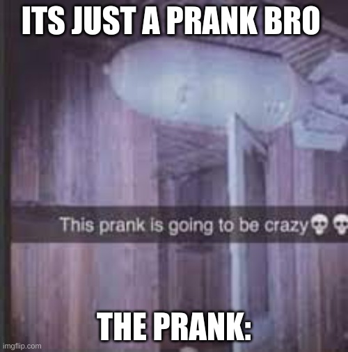 its just a prank bro | ITS JUST A PRANK BRO; THE PRANK: | image tagged in certified bruh moment,prank,i have achieved comedy | made w/ Imgflip meme maker