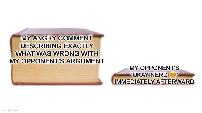 the art of arguing on the internet | MY ANGRY COMMENT DESCRIBING EXACTLY WHAT WAS WRONG WITH MY OPPONENT'S ARGUMENT; MY OPPONENT'S "OKAY NERD 🤓" IMMEDIATELY AFTERWARD | image tagged in big book small book | made w/ Imgflip meme maker