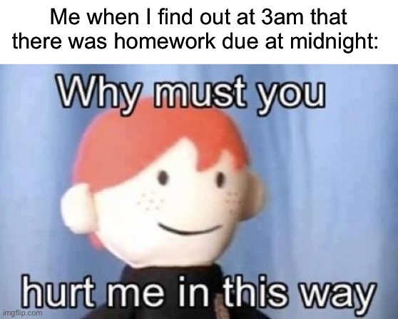 I’m sure this has happened to a couple of us… | Me when I find out at 3am that there was homework due at midnight: | image tagged in why must you hurt me this way,memes,funny,true story,relatable memes,school | made w/ Imgflip meme maker