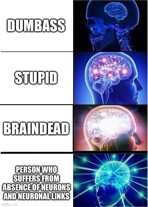 Grammar memes. “You are_____!” | DUMBASS; STUPID; BRAINDEAD; PERSON WHO SUFFERS FROM ABSENCE OF NEURONS AND NEURONAL LINKS | image tagged in memes,expanding brain | made w/ Imgflip meme maker