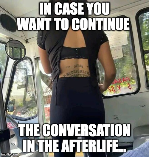 Afterkife conversation | IN CASE YOU WANT TO CONTINUE; THE CONVERSATION IN THE AFTERLIFE... | image tagged in funny memes | made w/ Imgflip meme maker