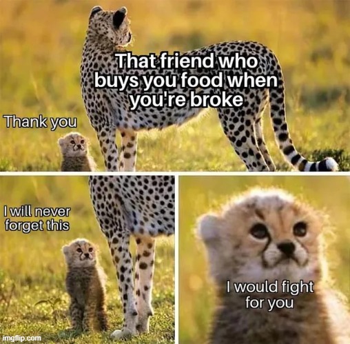 Thank you, wise one | image tagged in repost,memes,funny,wholesome,wholesome content,thank you | made w/ Imgflip meme maker