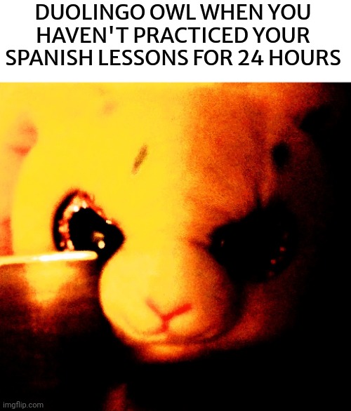 Bunny with a Knife Meme | DUOLINGO OWL WHEN YOU HAVEN'T PRACTICED YOUR SPANISH LESSONS FOR 24 HOURS | image tagged in bunny with a knife | made w/ Imgflip meme maker