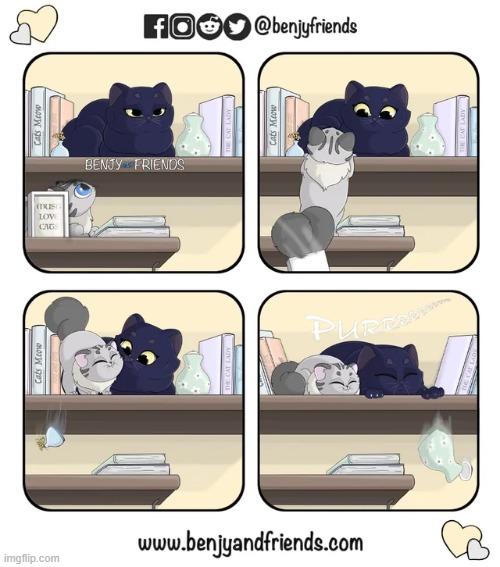 image tagged in cats,memes,wholesome,comics/cartoons,wholesome content,comics | made w/ Imgflip meme maker