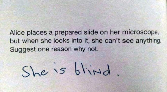 Why can Alice not see Blank Meme Template