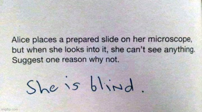 Alice | image tagged in why can alice not see,prepared a slide,microscope,what is the reason,dark humour | made w/ Imgflip meme maker