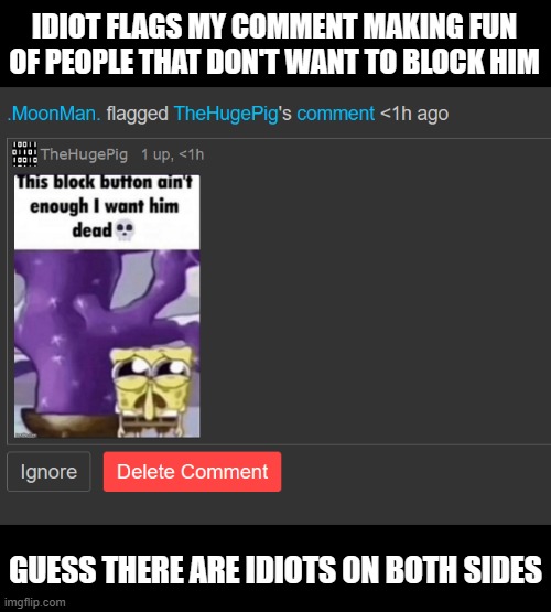 IDIOT FLAGS MY COMMENT MAKING FUN OF PEOPLE THAT DON'T WANT TO BLOCK HIM; GUESS THERE ARE IDIOTS ON BOTH SIDES | made w/ Imgflip meme maker