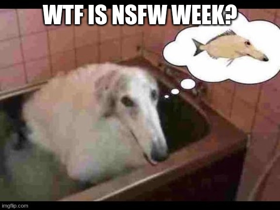 i probably been outside too much to understand wtf this is | WTF IS NSFW WEEK? | made w/ Imgflip meme maker