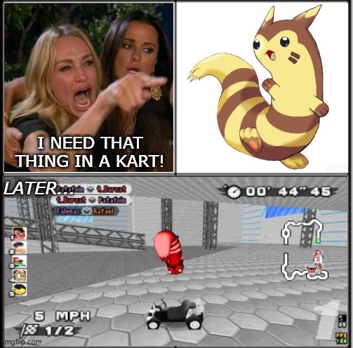 Furret in SRB2Kart | I NEED THAT THING IN A KART! LATER... | image tagged in table chart,furret,woman yelling at cat,srb2kart,kart,memes | made w/ Imgflip meme maker