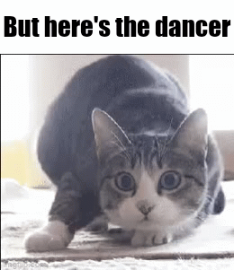 Shaq cat dance - Imgflip
