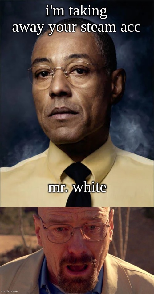 i've watched too much breaking good | i'm taking away your steam acc; mr. white | image tagged in breaking bad,funny,walter white,gustavo fring | made w/ Imgflip meme maker