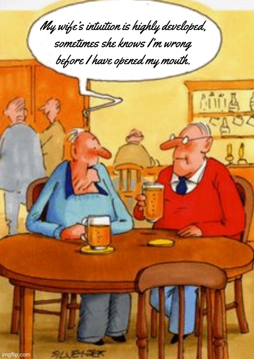 Men chatting over a drink | image tagged in men in bar,his wife,intuition highly developed,i am wrong,before i speak,comics | made w/ Imgflip meme maker