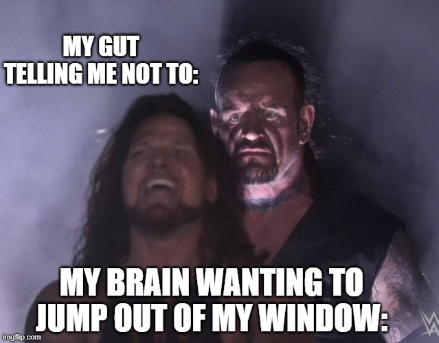 undertaker | MY GUT TELLING ME NOT TO:; MY BRAIN WANTING TO JUMP OUT OF MY WINDOW: | image tagged in undertaker,1990's | made w/ Imgflip meme maker