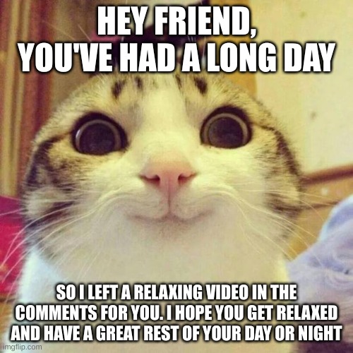 pls relax to this friend, close your eyes, breath, and listen | HEY FRIEND, YOU'VE HAD A LONG DAY; SO I LEFT A RELAXING VIDEO IN THE COMMENTS FOR YOU. I HOPE YOU GET RELAXED AND HAVE A GREAT REST OF YOUR DAY OR NIGHT | image tagged in memes,smiling cat | made w/ Imgflip meme maker