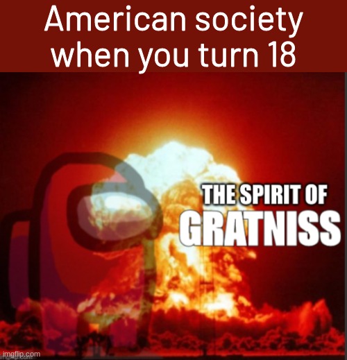 The Spirit of Gratniss | American society when you turn 18 | image tagged in the spirit of gratniss | made w/ Imgflip meme maker