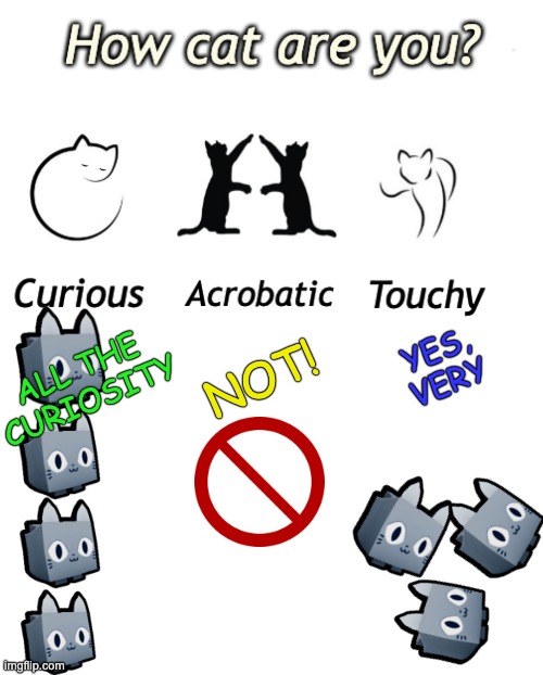 New Template for your catness "How CAT are you?" | YES,
VERY; ALL THE
CURIOSITY; NOT! | image tagged in how cat are you,cats | made w/ Imgflip meme maker