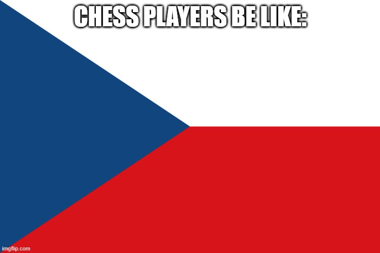 CHECK | CHESS PLAYERS BE LIKE: | image tagged in czech flag | made w/ Imgflip meme maker