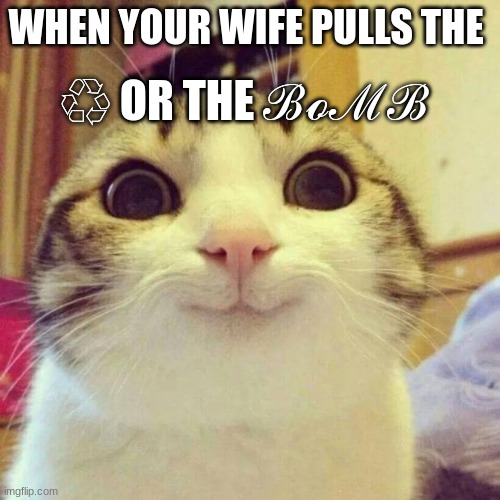 Smiling Cat | ♲ OR THE ℬℴℳℬ; WHEN YOUR WIFE PULLS THE | image tagged in memes,smiling cat | made w/ Imgflip meme maker