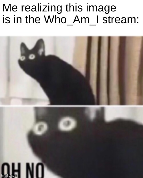 Oh no cat | Me realizing this image is in the Who_Am_I stream: | image tagged in oh no cat | made w/ Imgflip meme maker