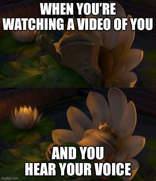 Shrek King Harold Dying | WHEN YOU’RE WATCHING A VIDEO OF YOU; AND YOU HEAR YOUR VOICE | image tagged in shrek king harold dying | made w/ Imgflip meme maker
