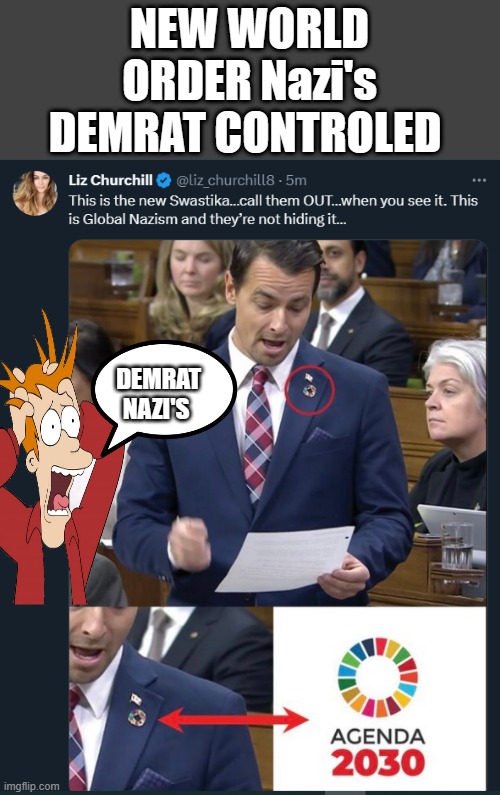 For the UNEDUCATED 2030 is THE NWO wants "YOU DEAD " | NEW WORLD ORDER Nazi's DEMRAT CONTROLED; DEMRAT NAZI'S | image tagged in nwo,democrats | made w/ Imgflip meme maker