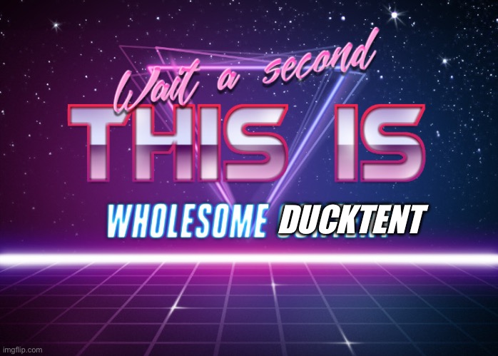 Wait a second this is wholesome content | DUCKTENT | image tagged in wait a second this is wholesome content | made w/ Imgflip meme maker