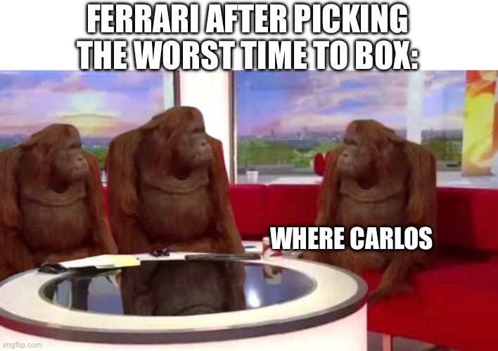 where monkey | FERRARI AFTER PICKING THE WORST TIME TO BOX:; WHERE CARLOS | image tagged in where monkey | made w/ Imgflip meme maker