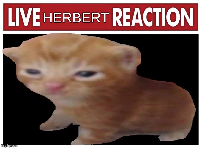 Herbert | HERBERT | made w/ Imgflip meme maker