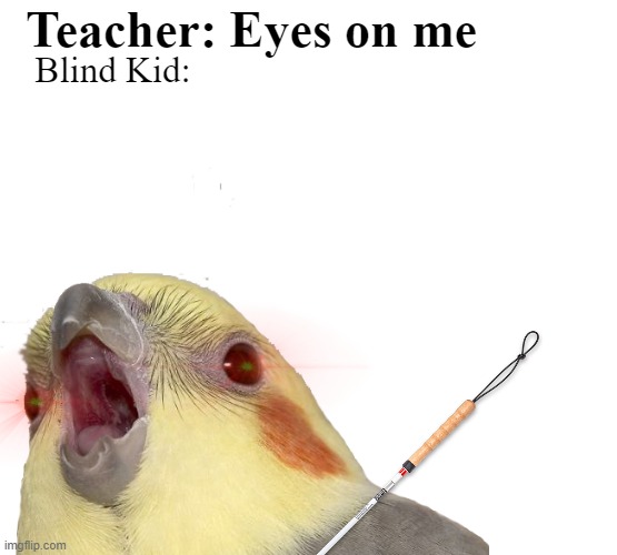 uhm | Teacher: Eyes on me; Blind Kid: | image tagged in school,unhelpful high school teacher | made w/ Imgflip meme maker