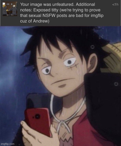 Do y’all not understand the rules | image tagged in luffy phone | made w/ Imgflip meme maker
