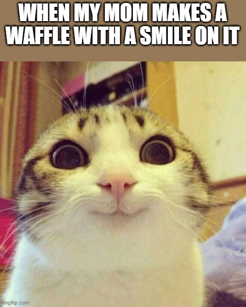 :) | WHEN MY MOM MAKES A WAFFLE WITH A SMILE ON IT | image tagged in memes,smiling cat | made w/ Imgflip meme maker