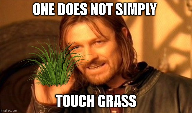 Go touch some grass!!! | ONE DOES NOT SIMPLY; TOUCH GRASS | image tagged in memes,one does not simply | made w/ Imgflip meme maker