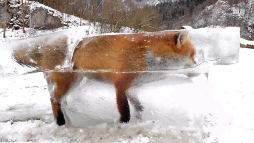 Firefox Frozen | image tagged in firefox frozen | made w/ Imgflip meme maker