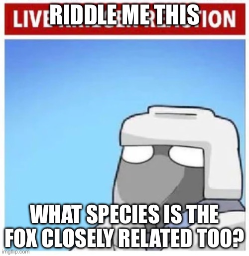 Live Krieger Reaction | RIDDLE ME THIS; WHAT SPECIES IS THE FOX CLOSELY RELATED TOO? | image tagged in live krieger reaction | made w/ Imgflip meme maker