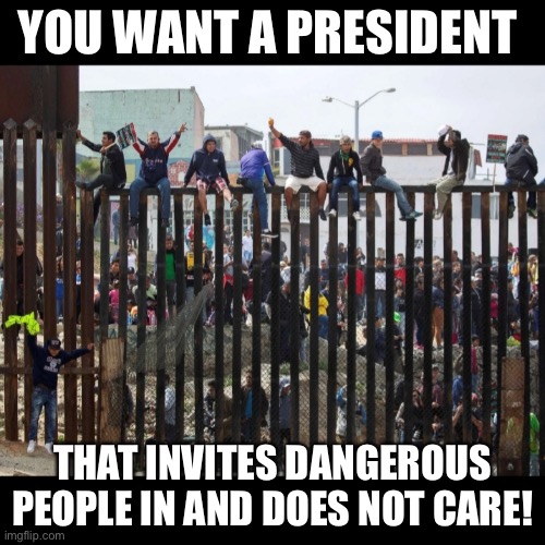 Illegal border crossing aliens | YOU WANT A PRESIDENT; THAT INVITES DANGEROUS PEOPLE IN AND DOES NOT CARE! | image tagged in illegal border crossing aliens | made w/ Imgflip meme maker