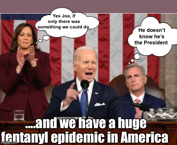 If only there was a person in charge | Yes Joe, if only there was something we could do; He doesn’t know he’s the President; ….and we have a huge fentanyl epidemic in America | image tagged in politics lol,memes,derp,government corruption,stupid people | made w/ Imgflip meme maker