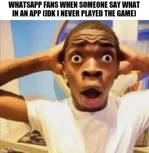 Black Guy Shocked | WHATSAPP FANS WHEN SOMEONE SAY WHAT IN AN APP (IDK I NEVER PLAYED THE GAME) | image tagged in black guy shocked | made w/ Imgflip meme maker