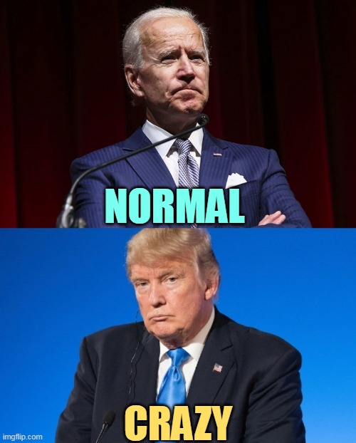 The choice is yours. | NORMAL; CRAZY | image tagged in joe biden,normal,donald trump,crazy,bats,idiot | made w/ Imgflip meme maker