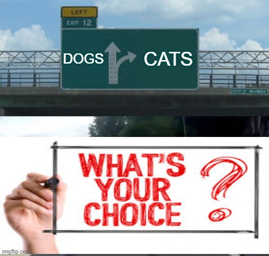 Left Exit 12 Off Ramp Meme | DOGS; CATS | image tagged in memes,left exit 12 off ramp | made w/ Imgflip meme maker